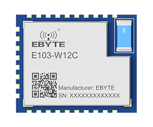 E103-W12C